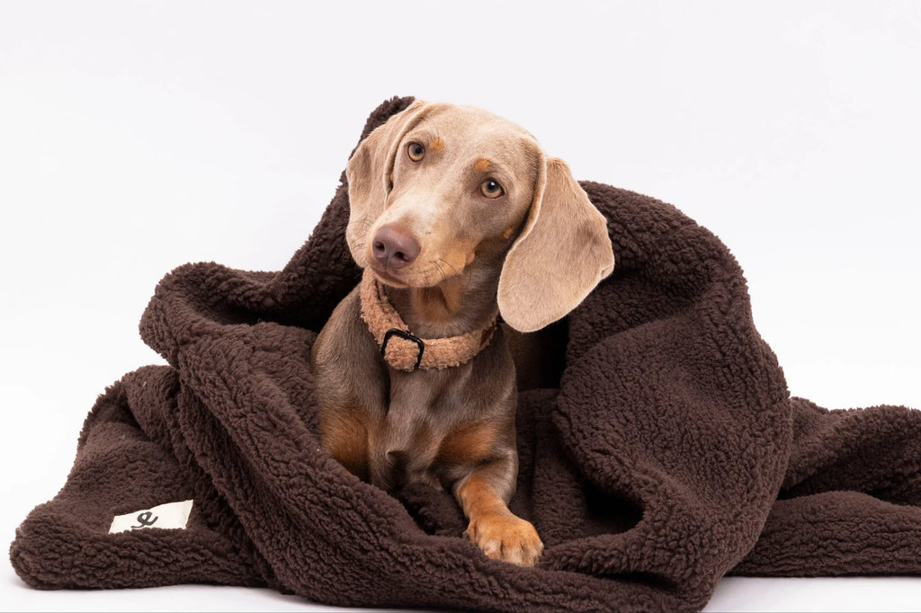 Sac de Couchage pour Chien & Chat en Fausse Fourrure Espresso