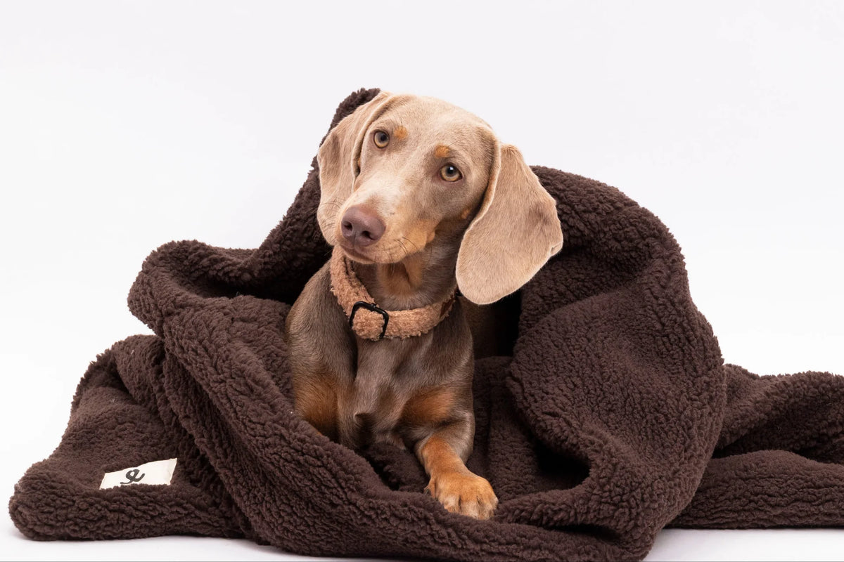 Sac de Couchage pour Chien & Chat en Fausse Fourrure Espresso