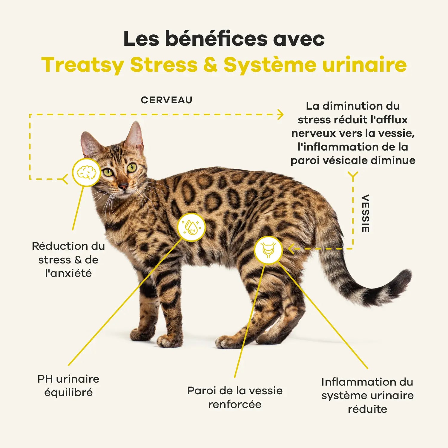 Treatsy Veterinary Care Stress & Système Urinaire – Complément pour chat