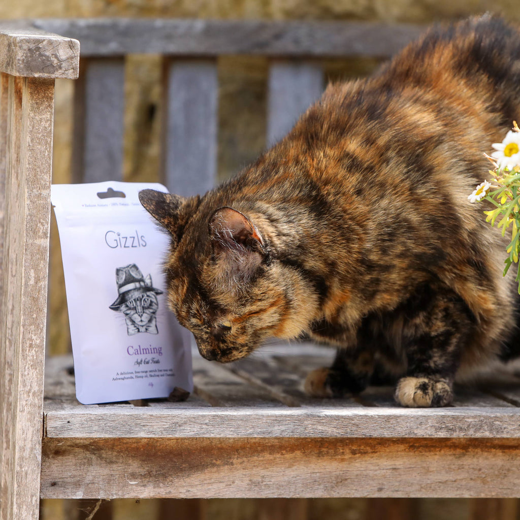 Friandises douces et apaisantes pour chats