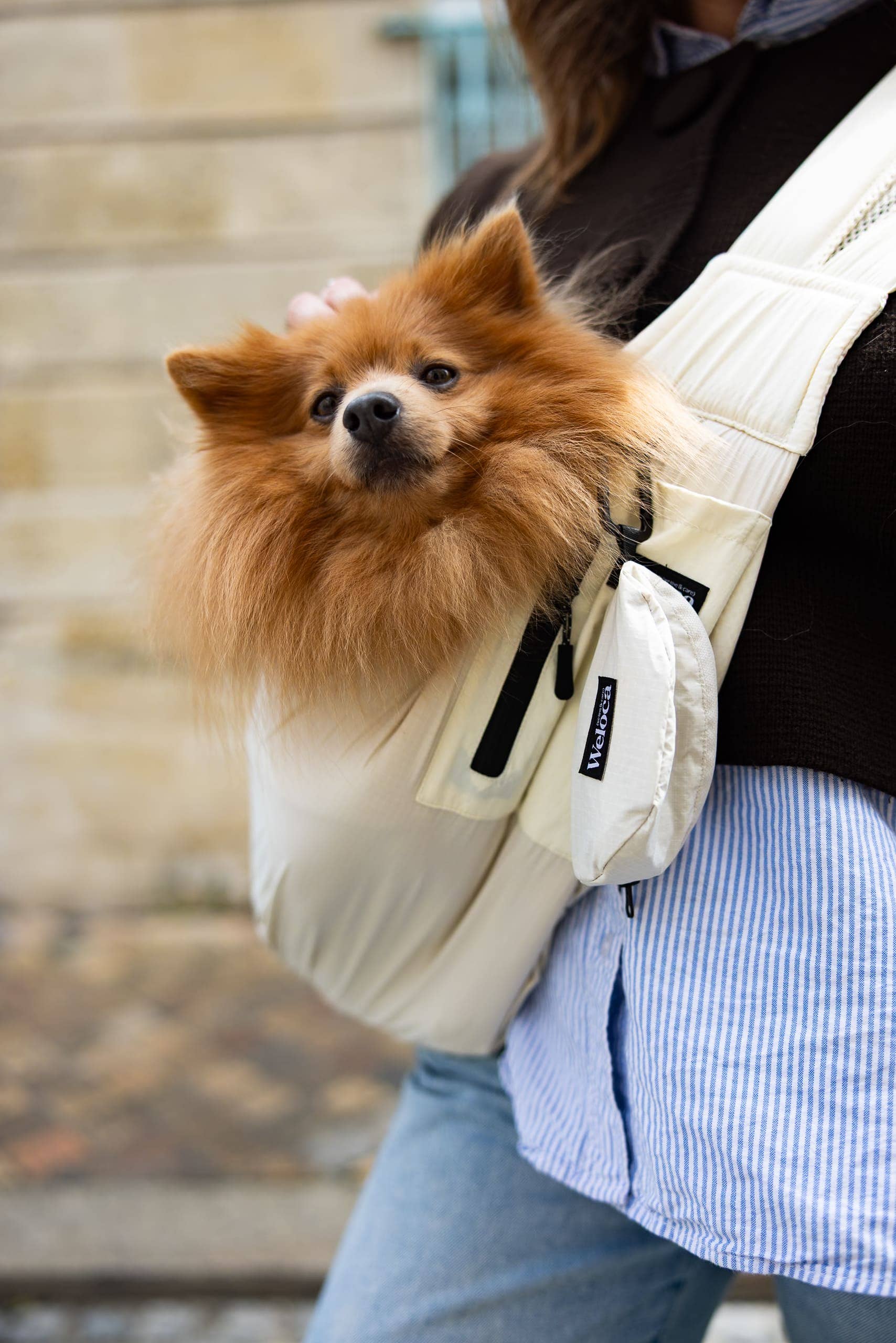 Sac de Transport pour Chien & Chat Weloca – Version Été