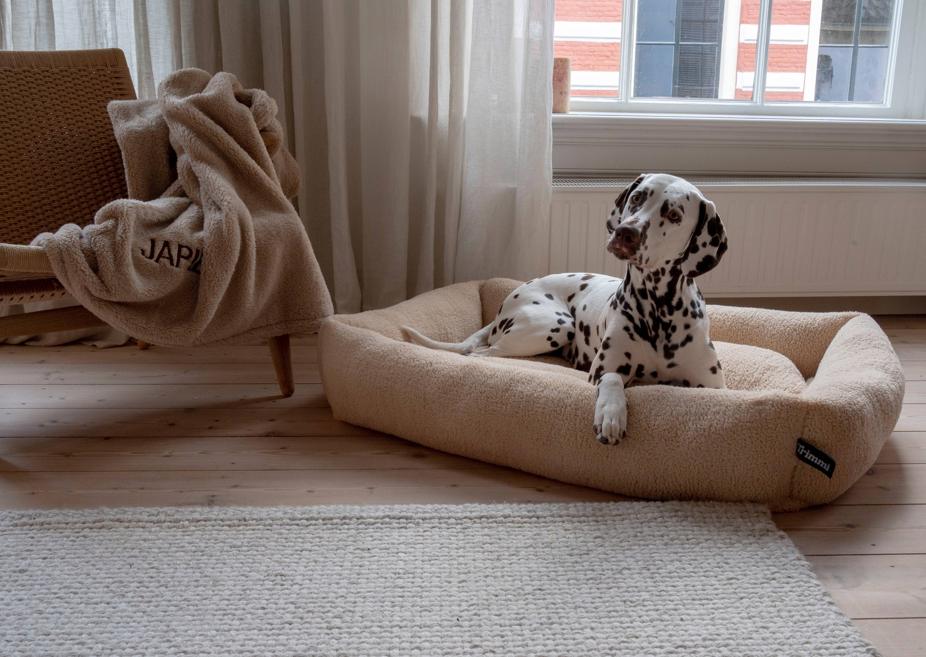 Lit pour chien Teddy écru