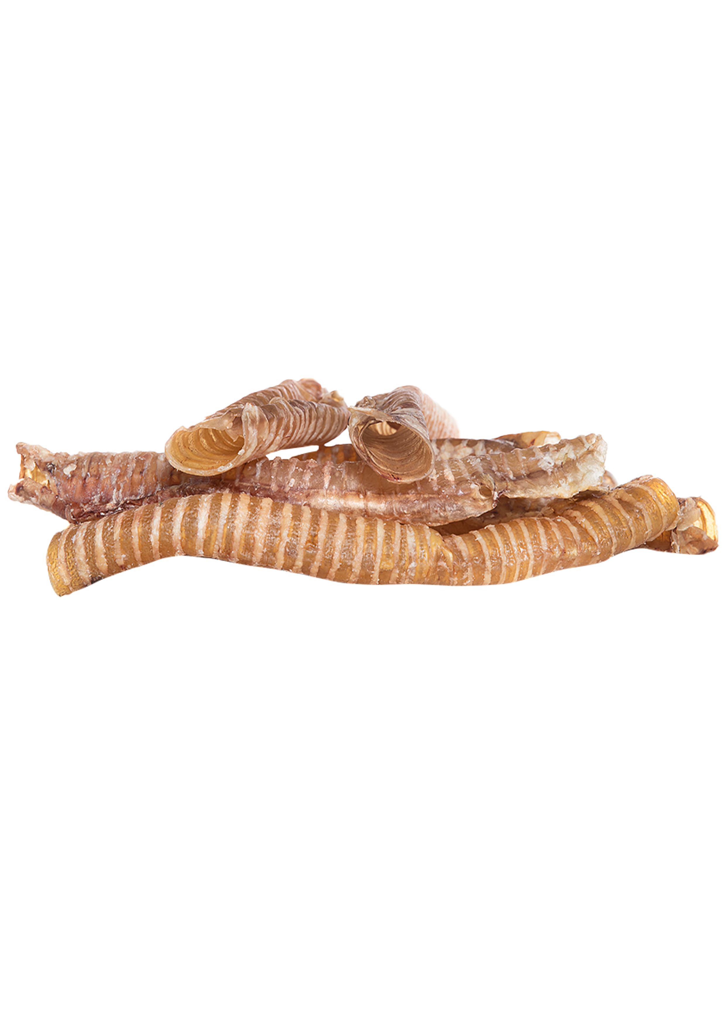 Trachée de bœuf - 10 pièces