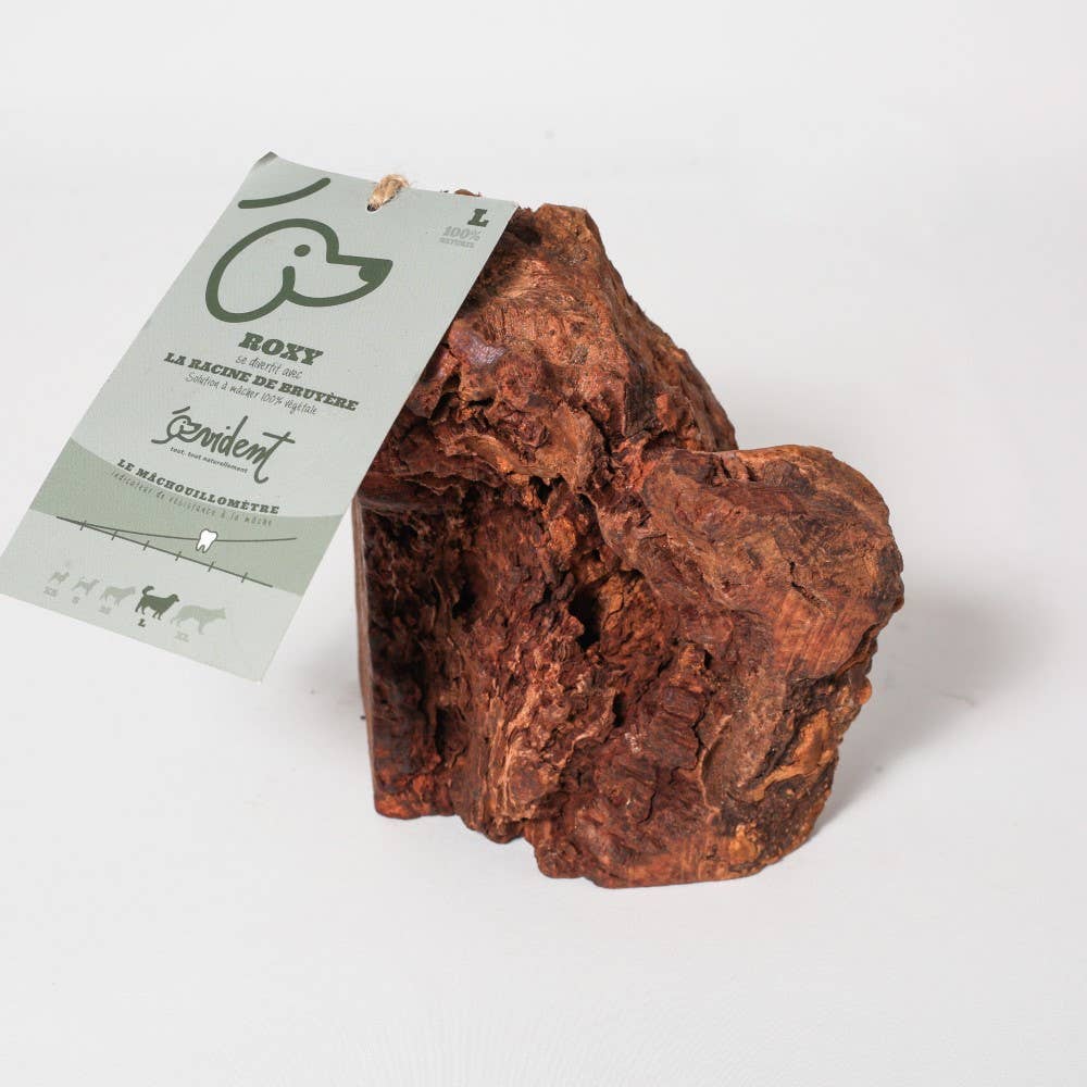 ROXY - Racine de bruyère à mâcher pour chien