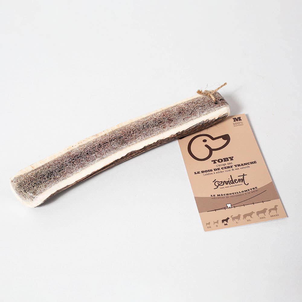 TOBY - Bois de cerf tranché à mâcher pour chien