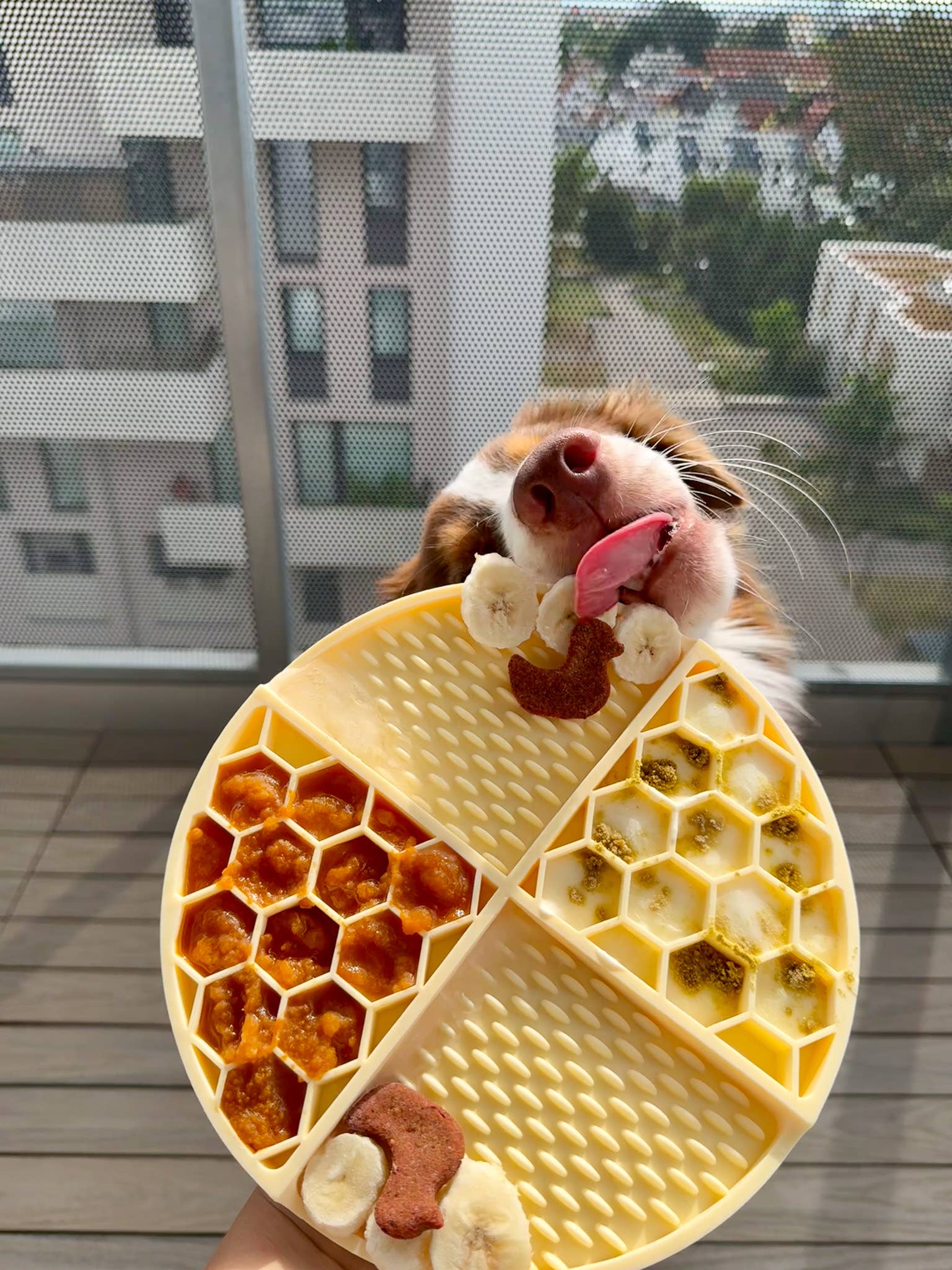 Tapis de léchage Honey chien et chat