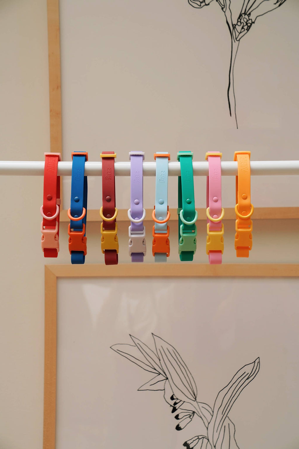 Le collier pour chien Fritz