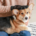 Gant de toilettage et de massage pour chiens & chats - DOGGY