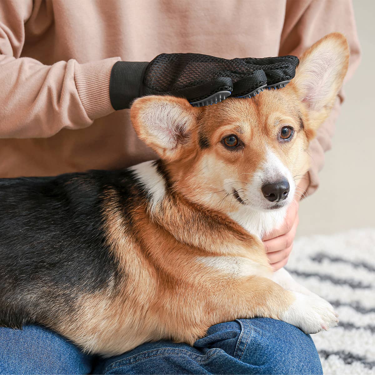 Gant de toilettage et de massage pour chiens & chats - DOGGY