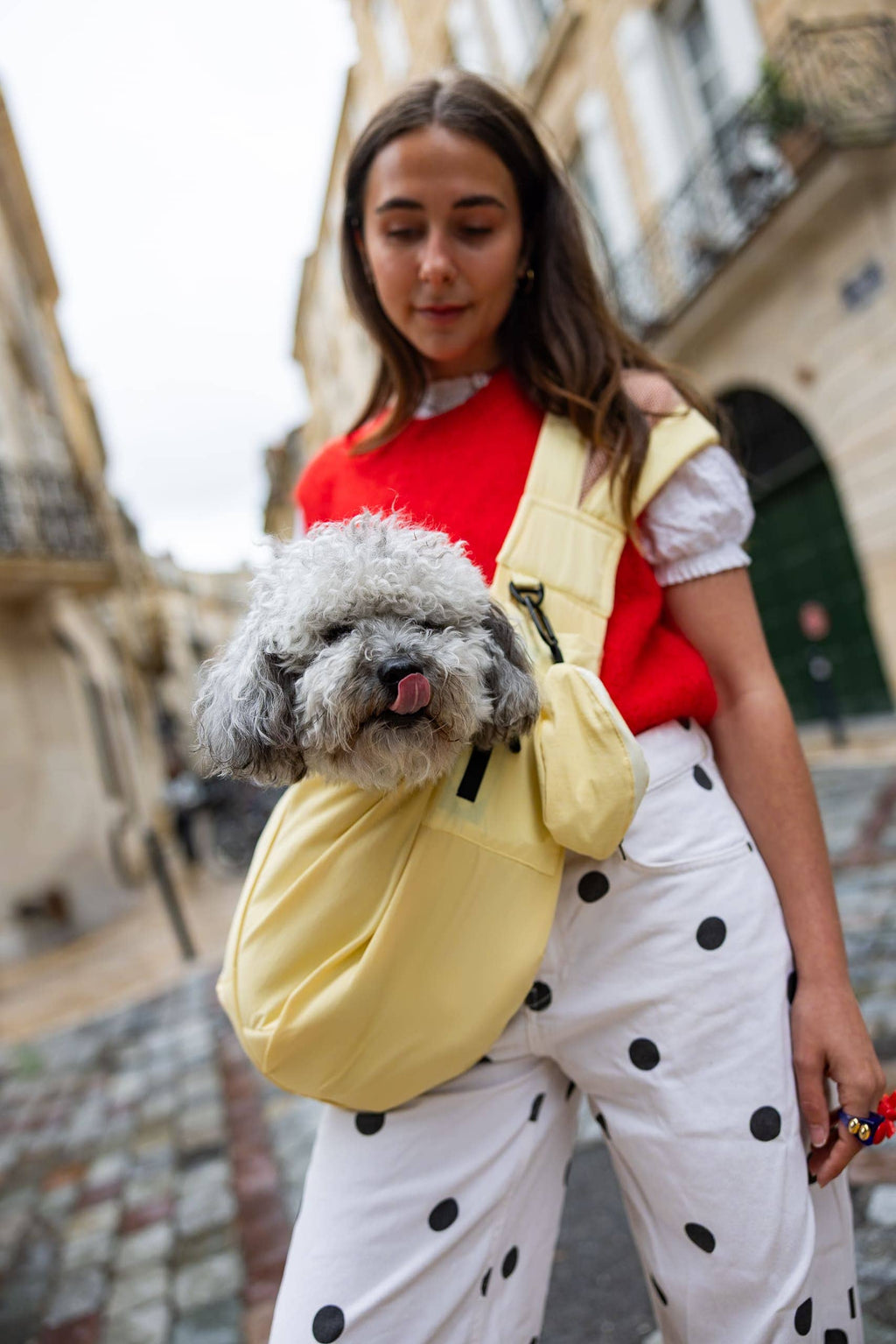 Sac de Transport pour Chien & Chat Weloca – Version Été