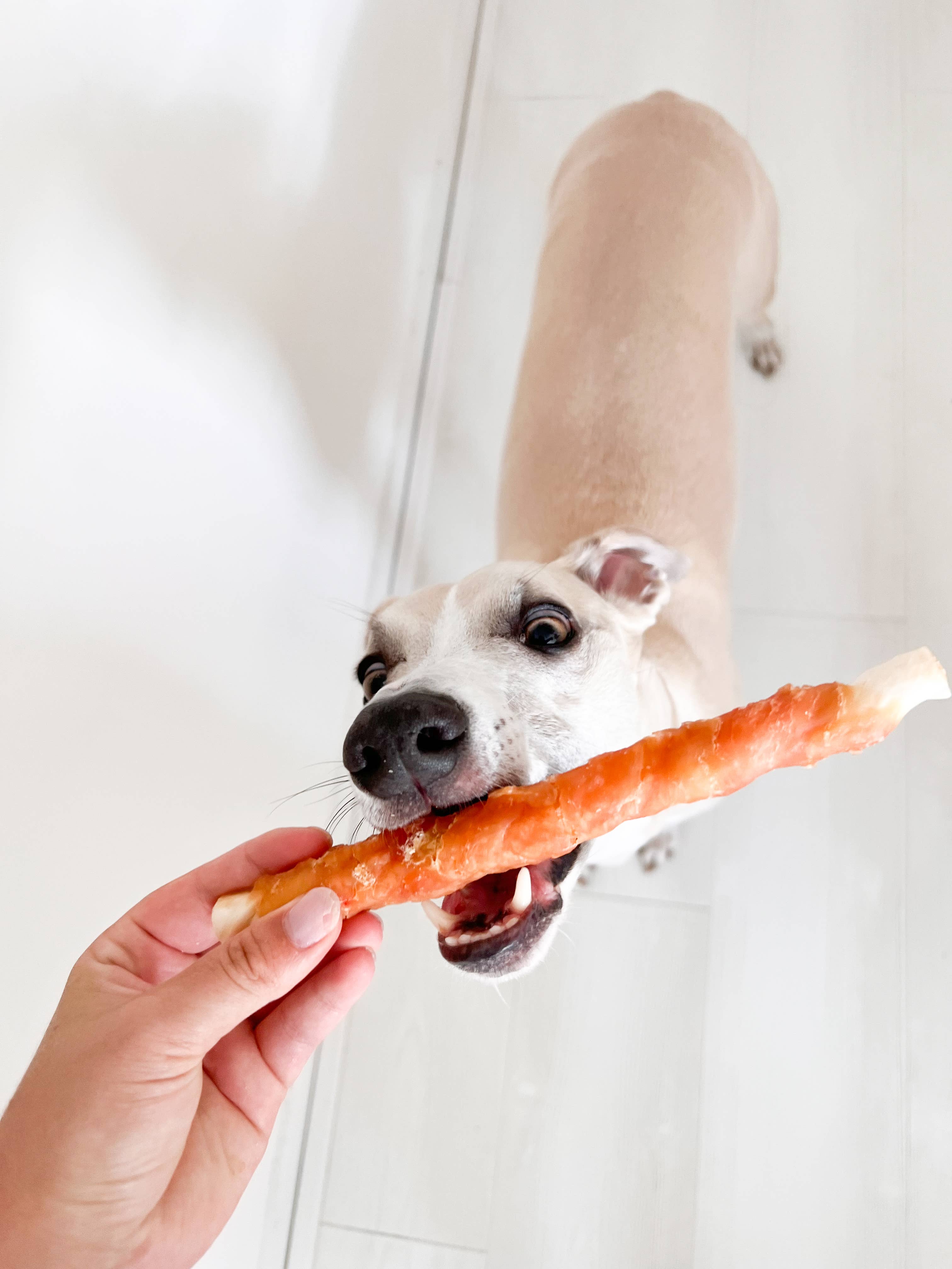 Barre de poulet 20 cm - 500 g