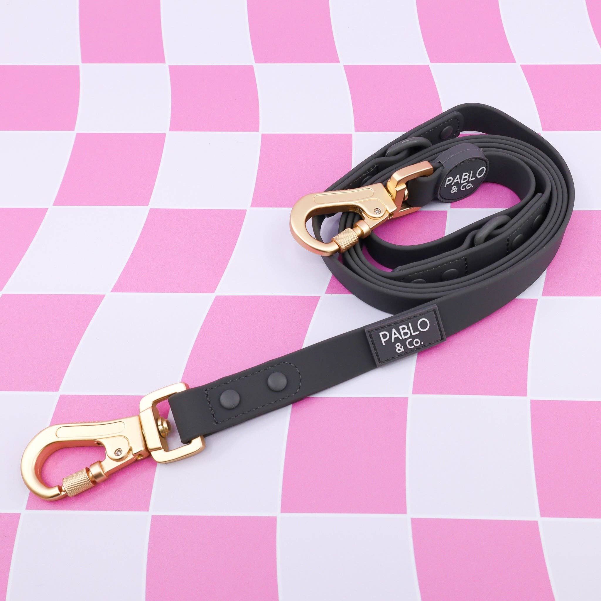 Anthracite : laisse imperméable multifonctionnelle