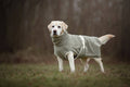 Peignoir pour chien fait main