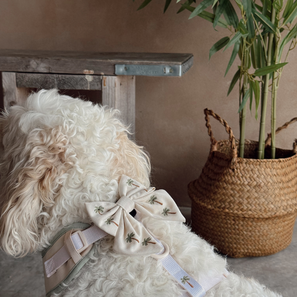 Nœud papillon Sailor Palm Springs – Cocopup London