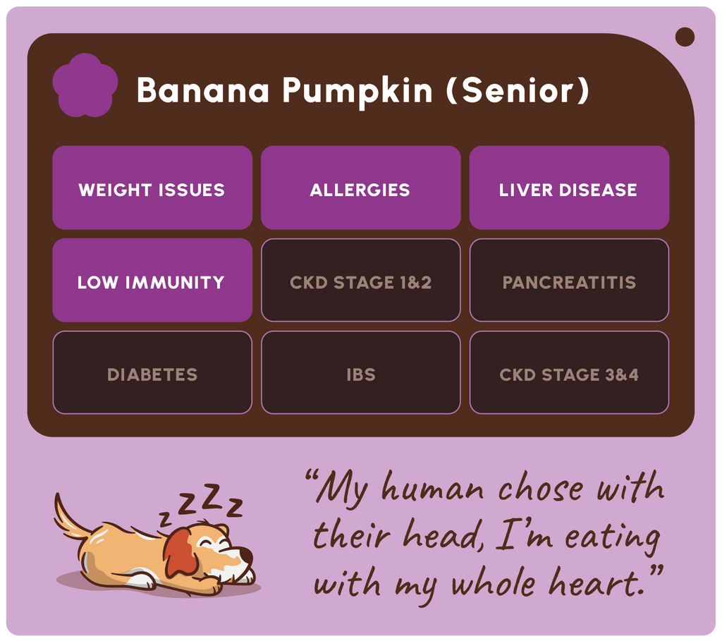 Bâtonnets dentaires Banana Pumpkin – Soopa – 100 g