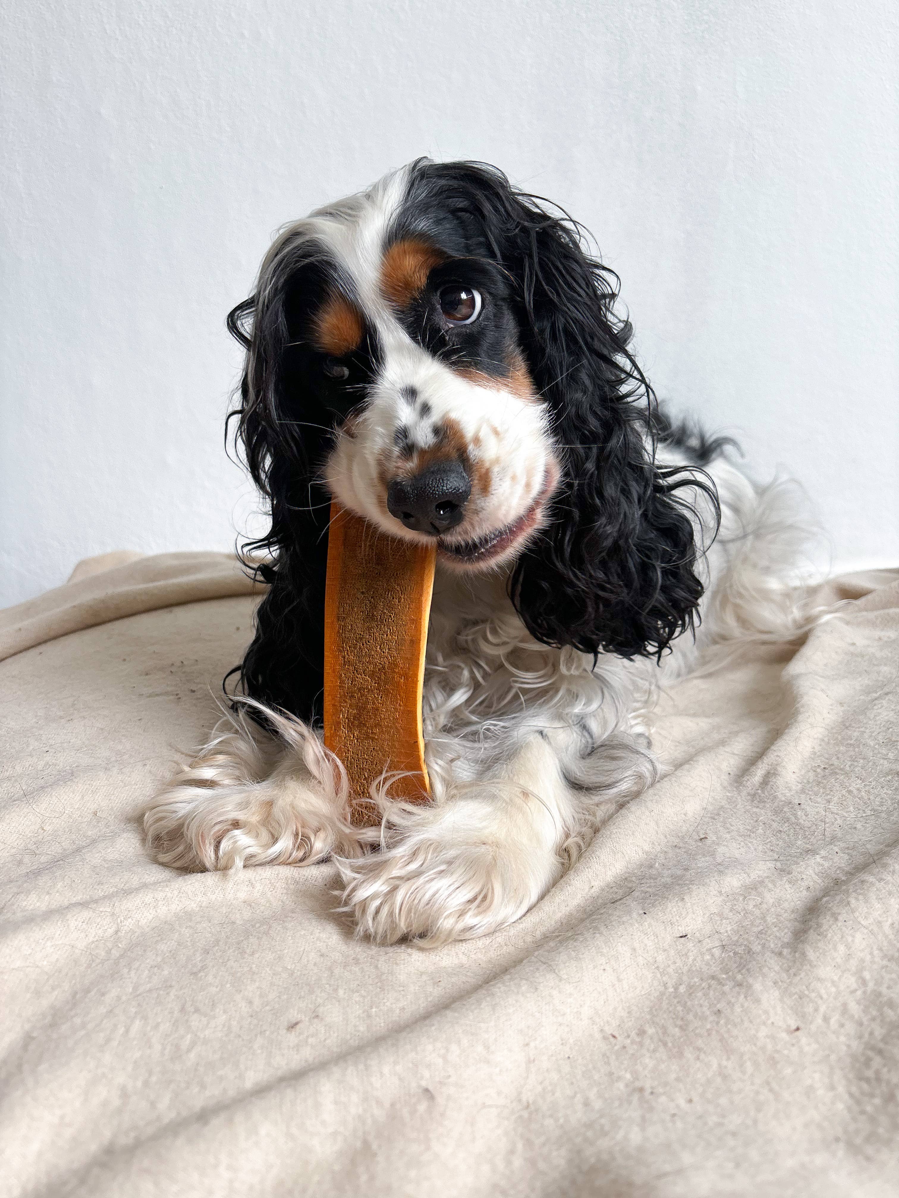 FANI - Bois de cerf tranché fumé au jambon, sans arôme !