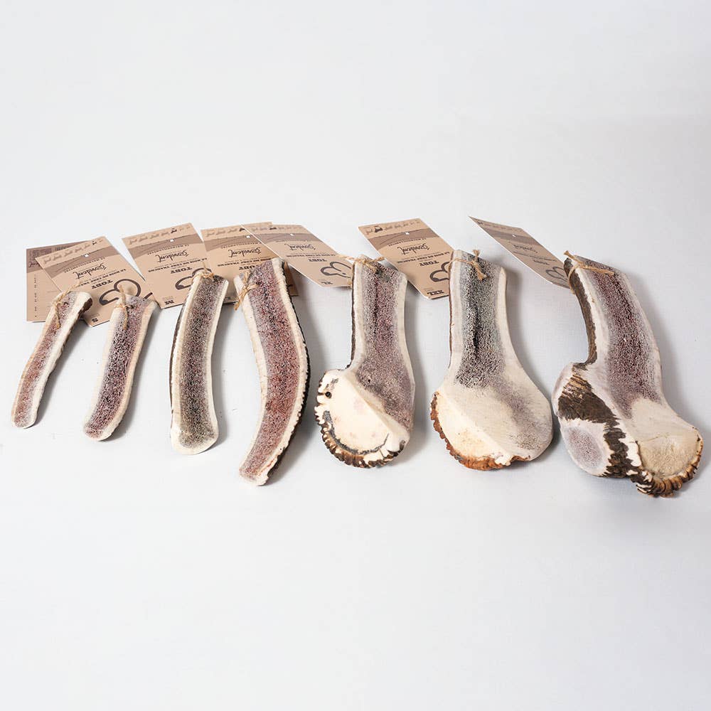 TOBY - Bois de cerf tranché à mâcher pour chien