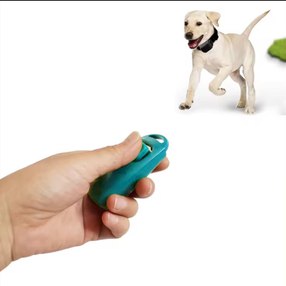Clicker professionnel avec sifflet pour chien - DOGGY