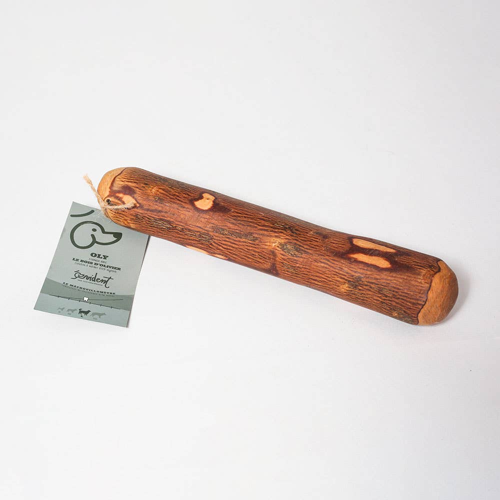 OLY - Bâton en bois d'olivier à mâcher pour chien
