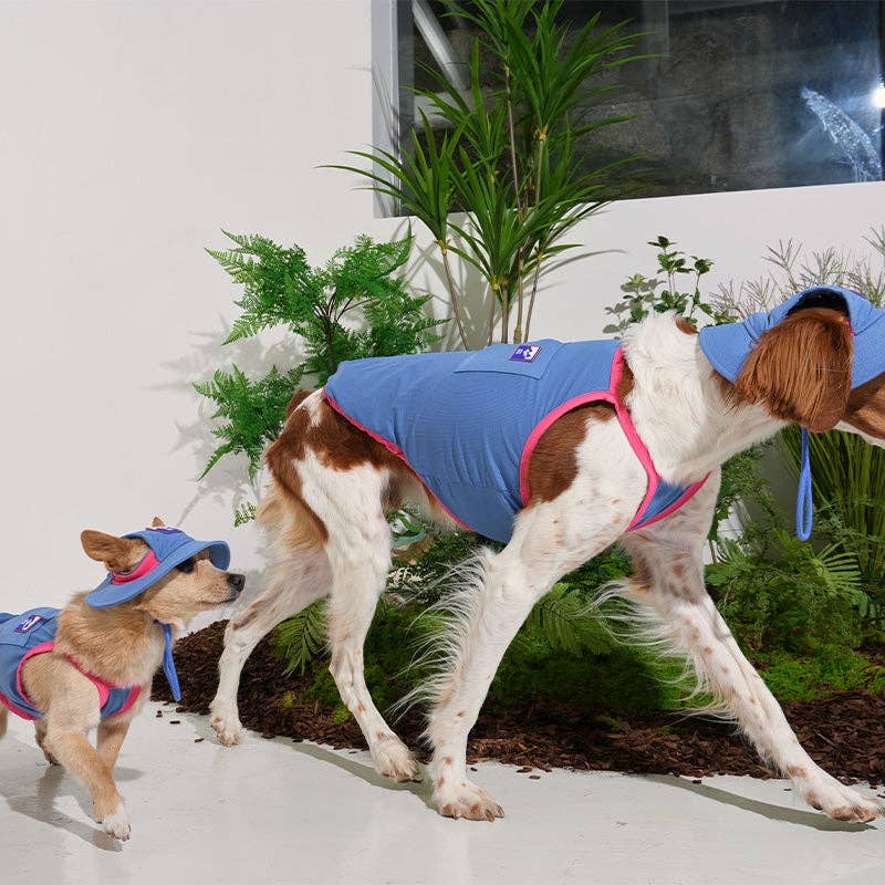 Débardeur Rafraîchissant Outside+ – Puppy Gallery | Coloris Bleu