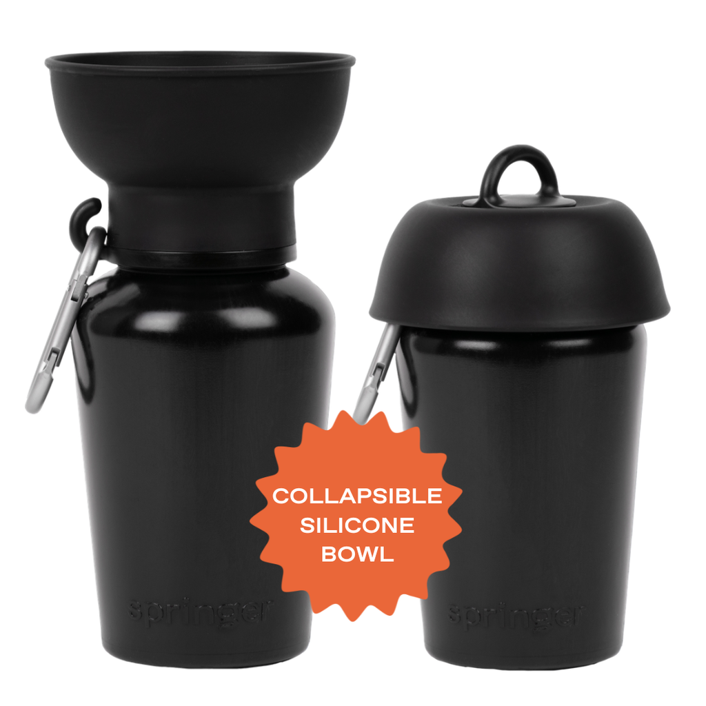 Gourde Portable Springland Pets — 591 ml