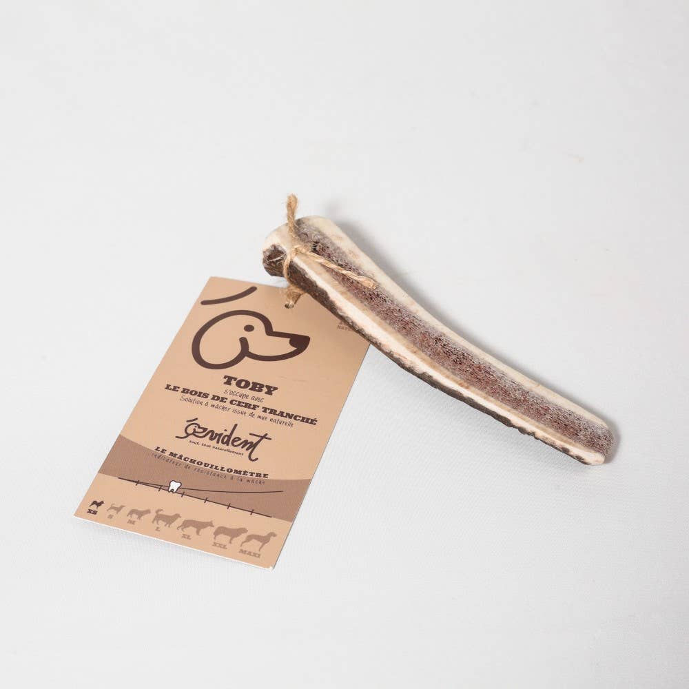 TOBY - Bois de cerf tranché à mâcher pour chien