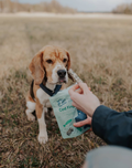 Peau de Morue Séchée Friandises pour Chiens 100% Naturelles