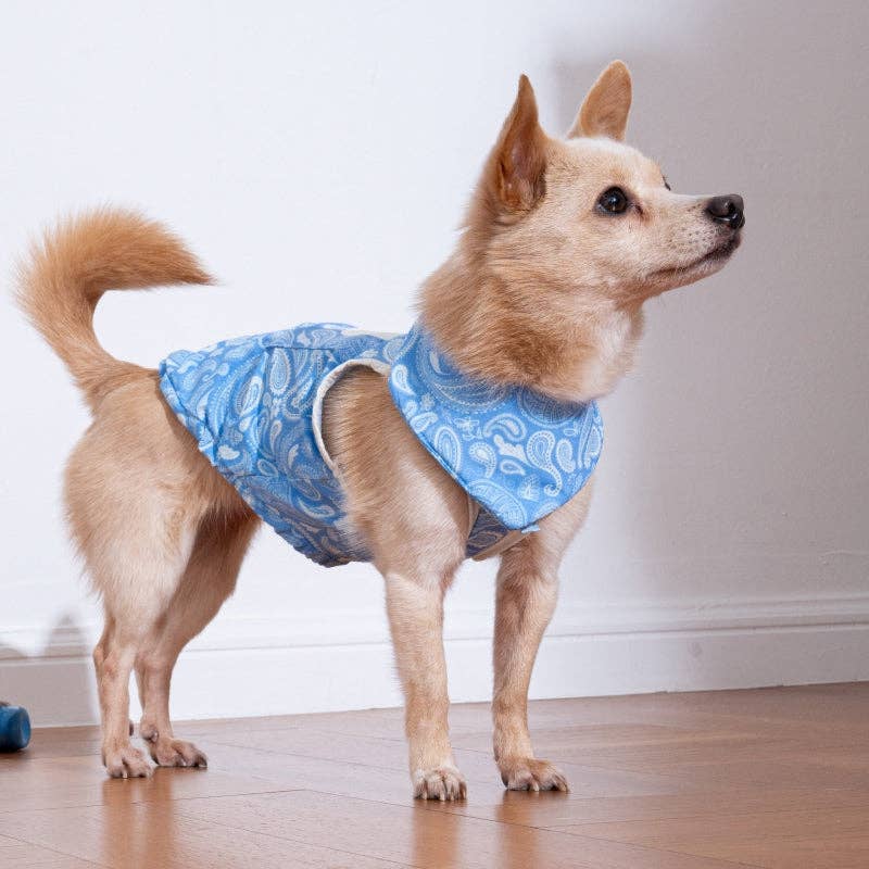 Bandana rafraîchissant Paisley Lover pour chien - Puppy Gallery