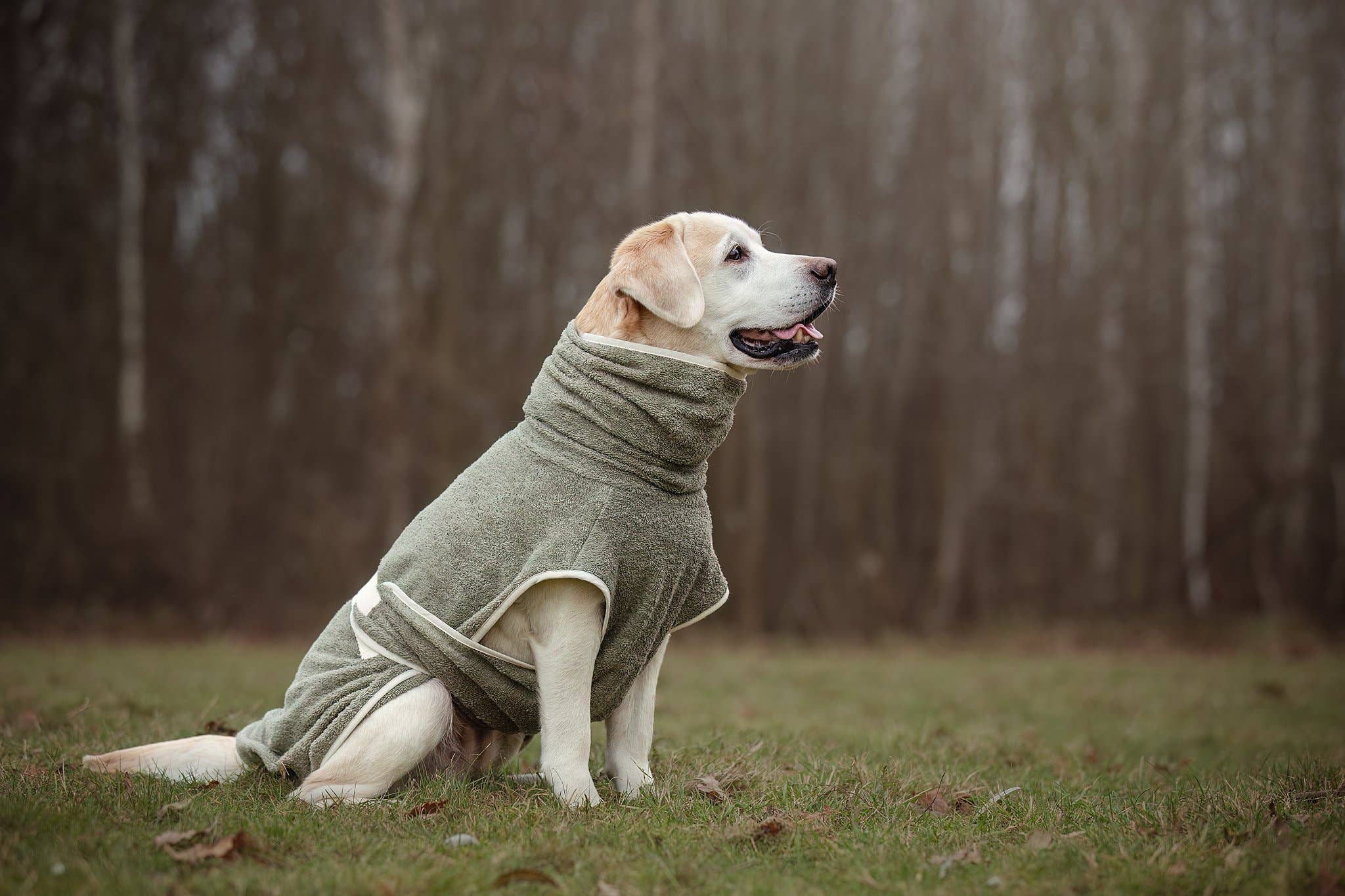 Peignoir pour chien fait main