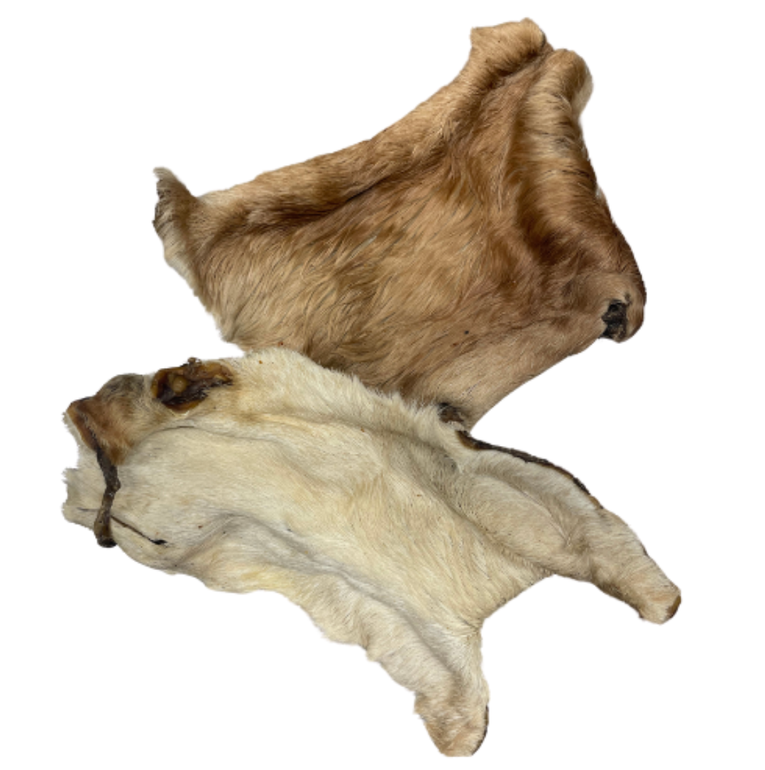 Plaque de peau de boeuf avec poils