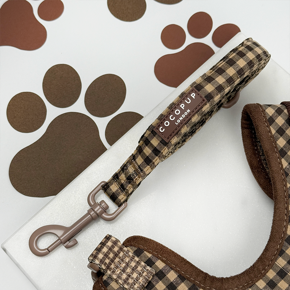 Laisse Cotswolds Check – Cocopup London