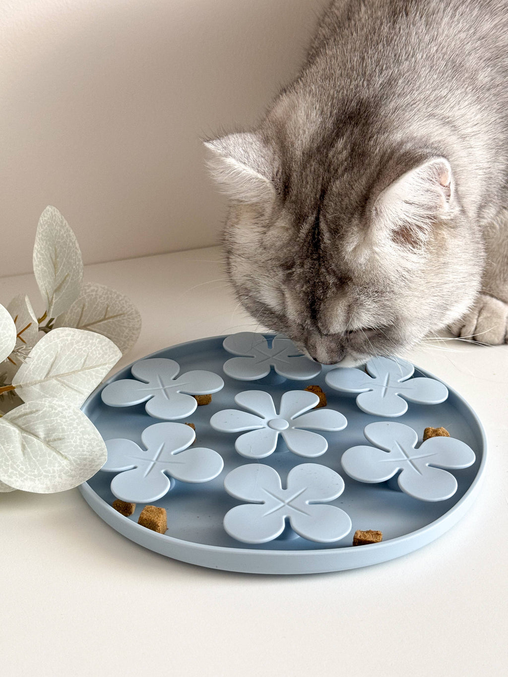Fleurs de tapis de léchage pour chiens et chats