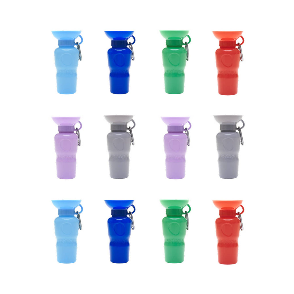 Springer Pet - Gourde 650ml
