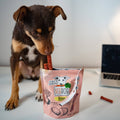 VEGDOG Beevys 80 g – Friandises végétales fumées à la betterave hypoallergéniques