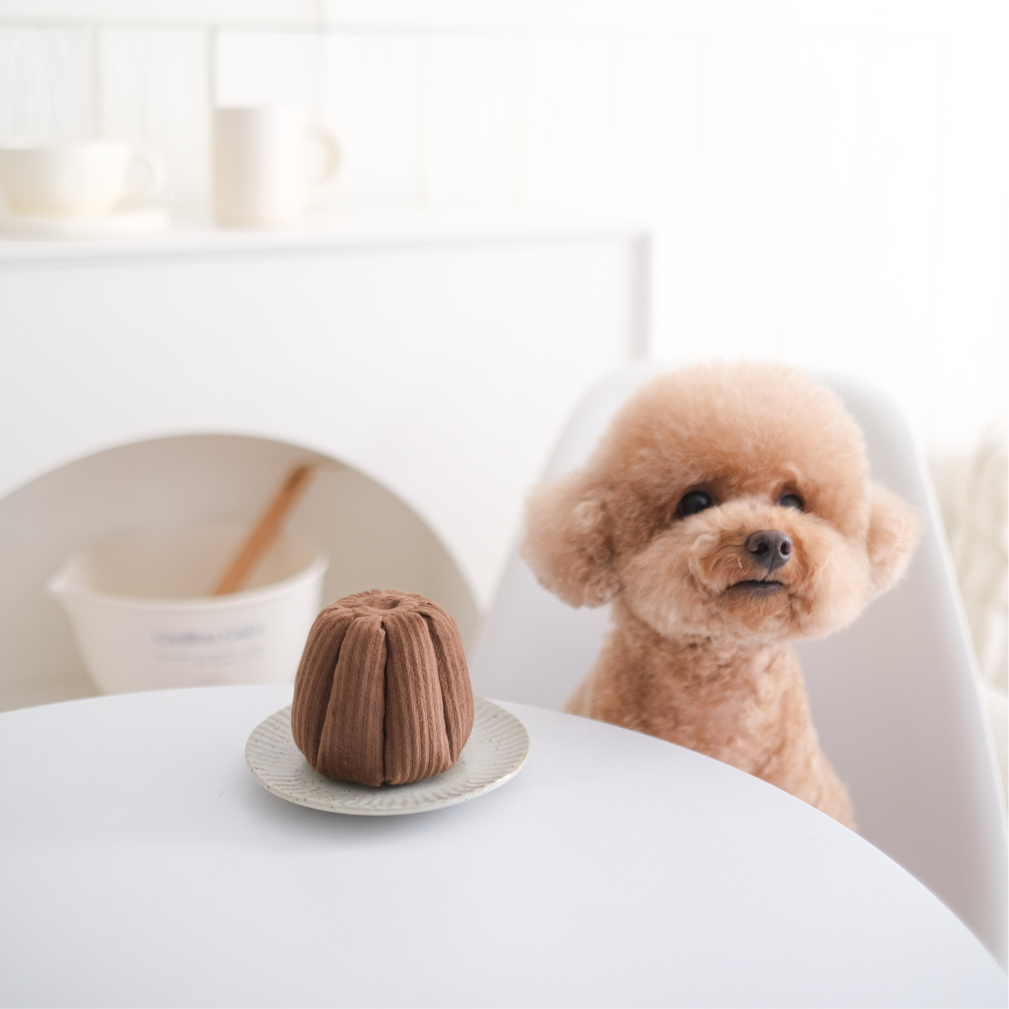 CANELE- Jouet d'enrichissement