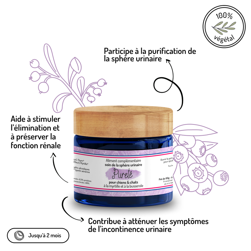 Sphère urinaire – Cure courte – Complément alimentaire