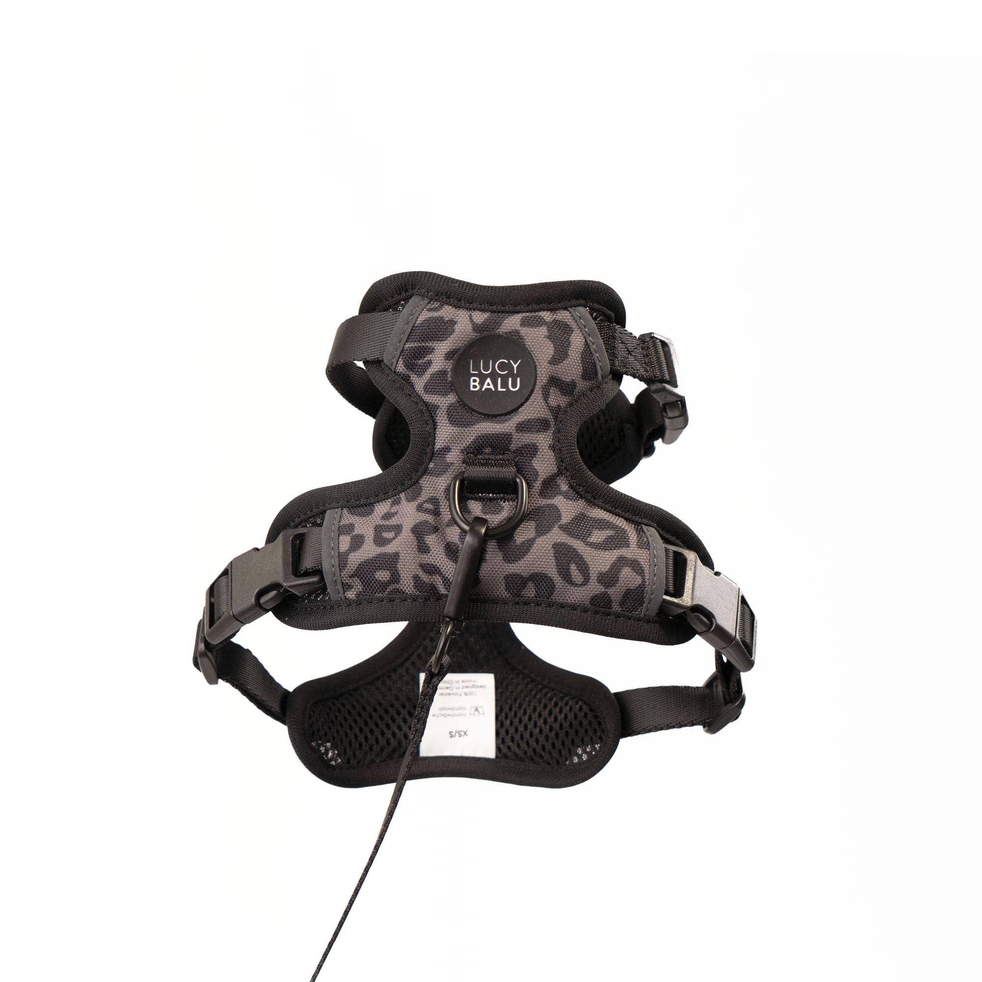 LucyBalu — Harnais Explorer pour Chat avec Laisse 1,5 m