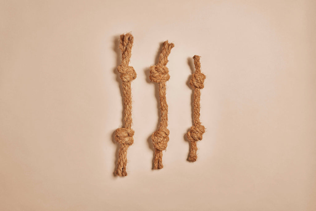 CocoBone CANOPHERA – Jouet en Corde de Noix de Coco