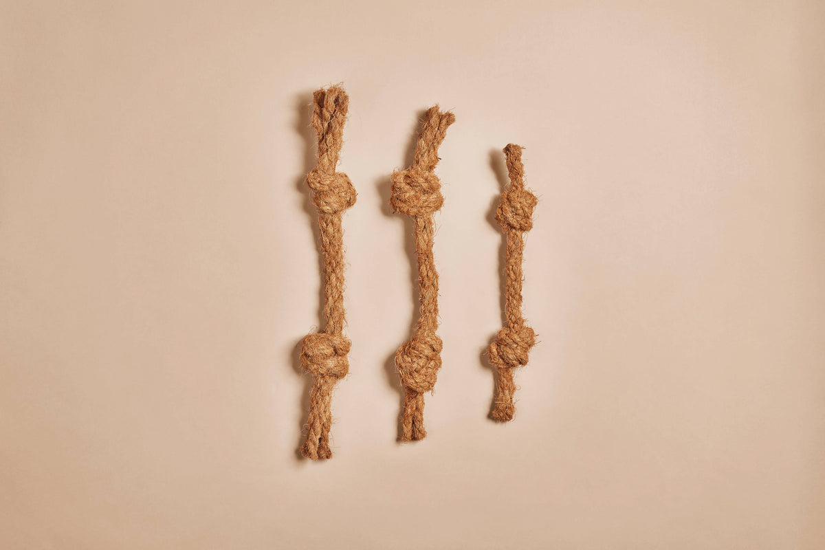 CocoBone CANOPHERA – Jouet en Corde de Noix de Coco