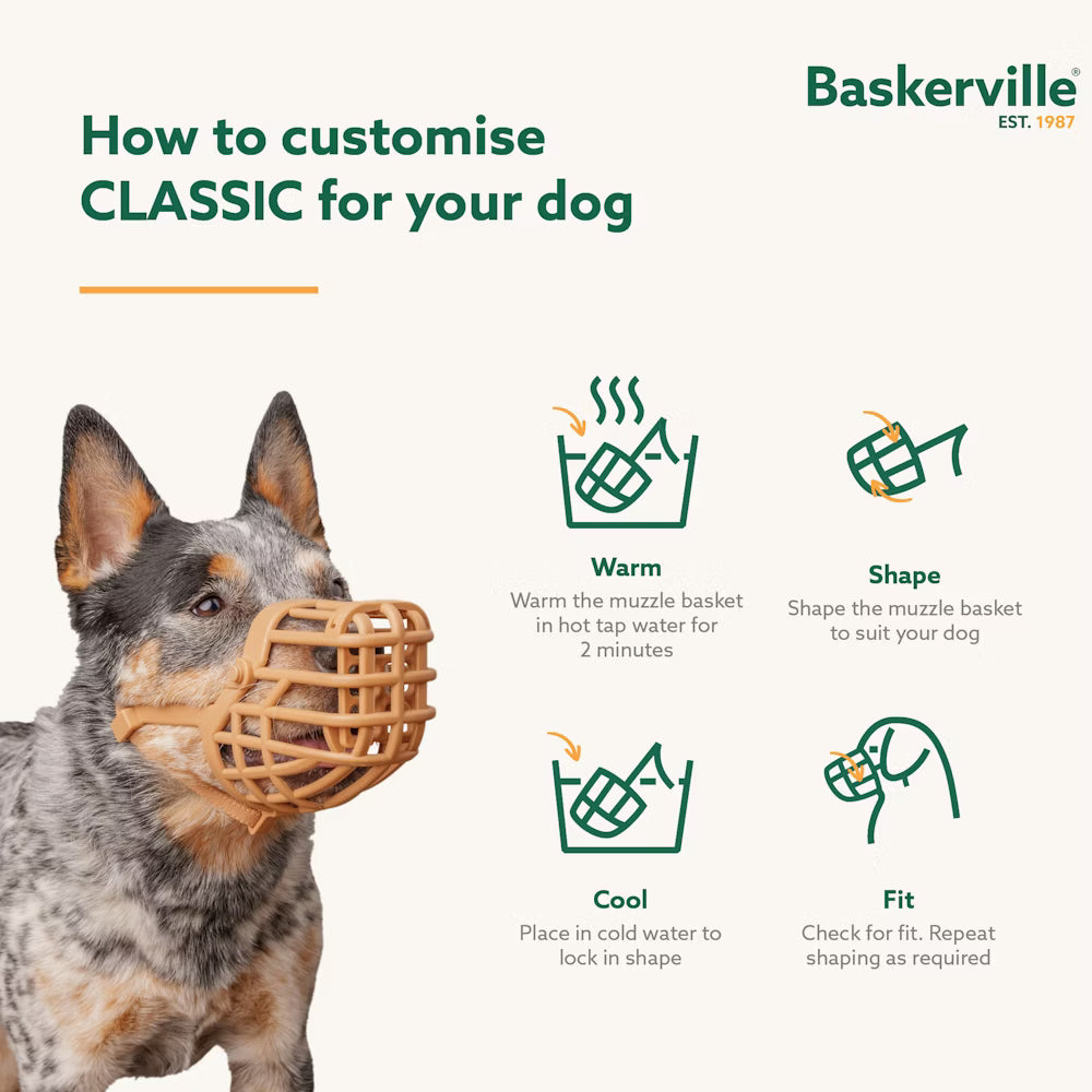 Baskerville — Muselière Classic Muzzle — Marron