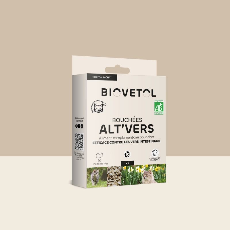 ALT'VERS - chaton et chat