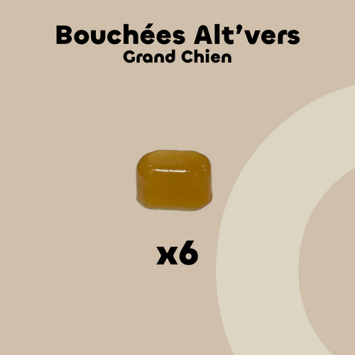 ALT'VERS - Grand chien