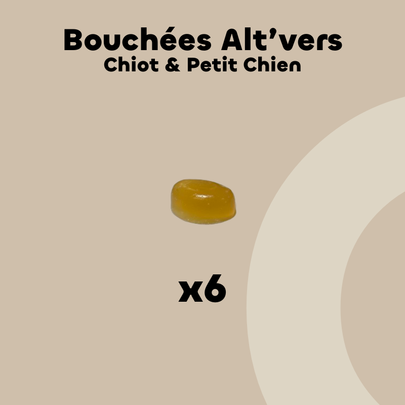 ALT'VERS - Chiot et petit chien