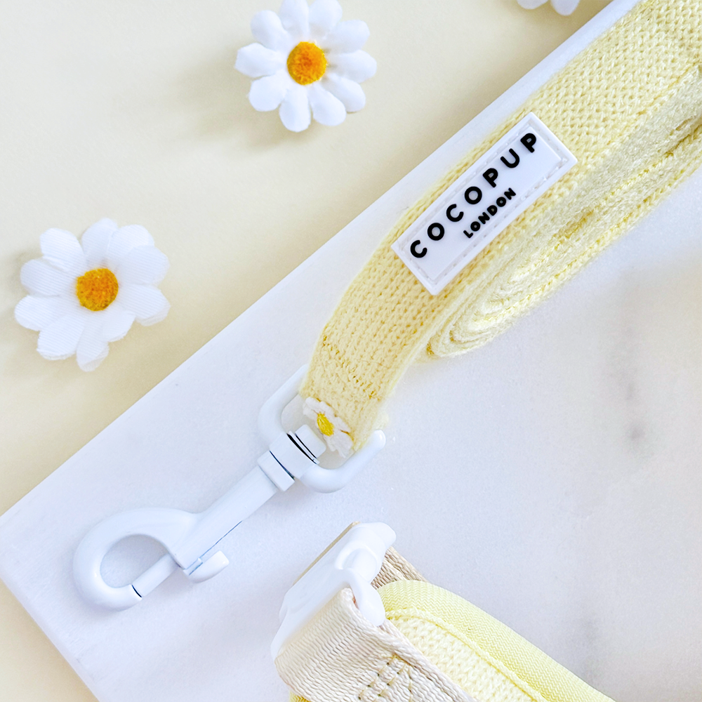 Laisse Buttercup Pup – Cocopup London