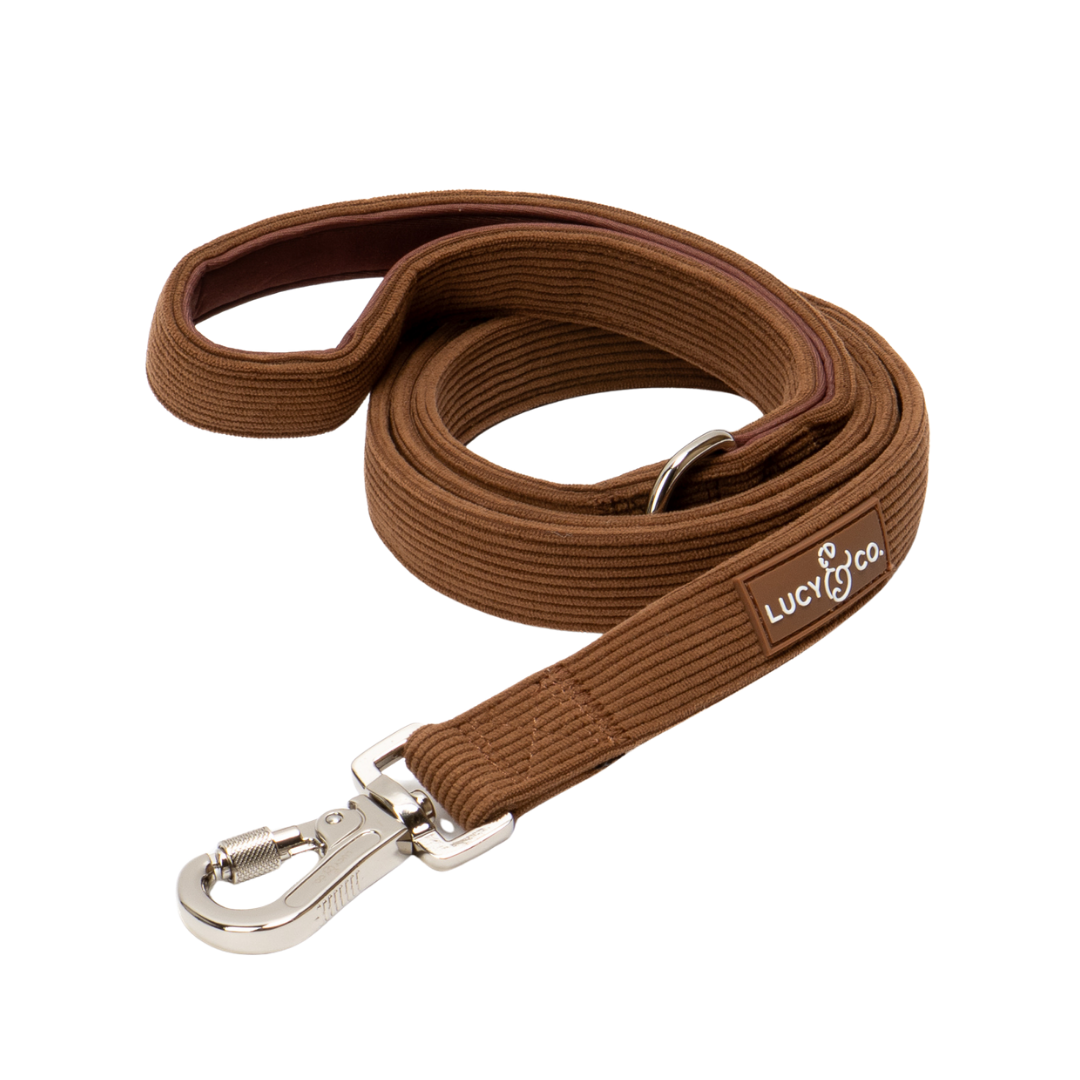 Laisse Chocolate Meadows – Lucy & Co - Automne