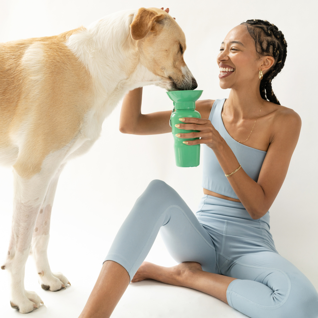 Springer Pet - Gourde 650ml