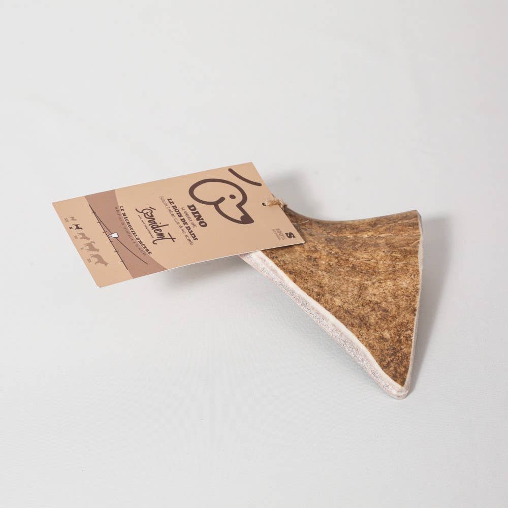 DINO - Bois de daim à mâcher pour chien