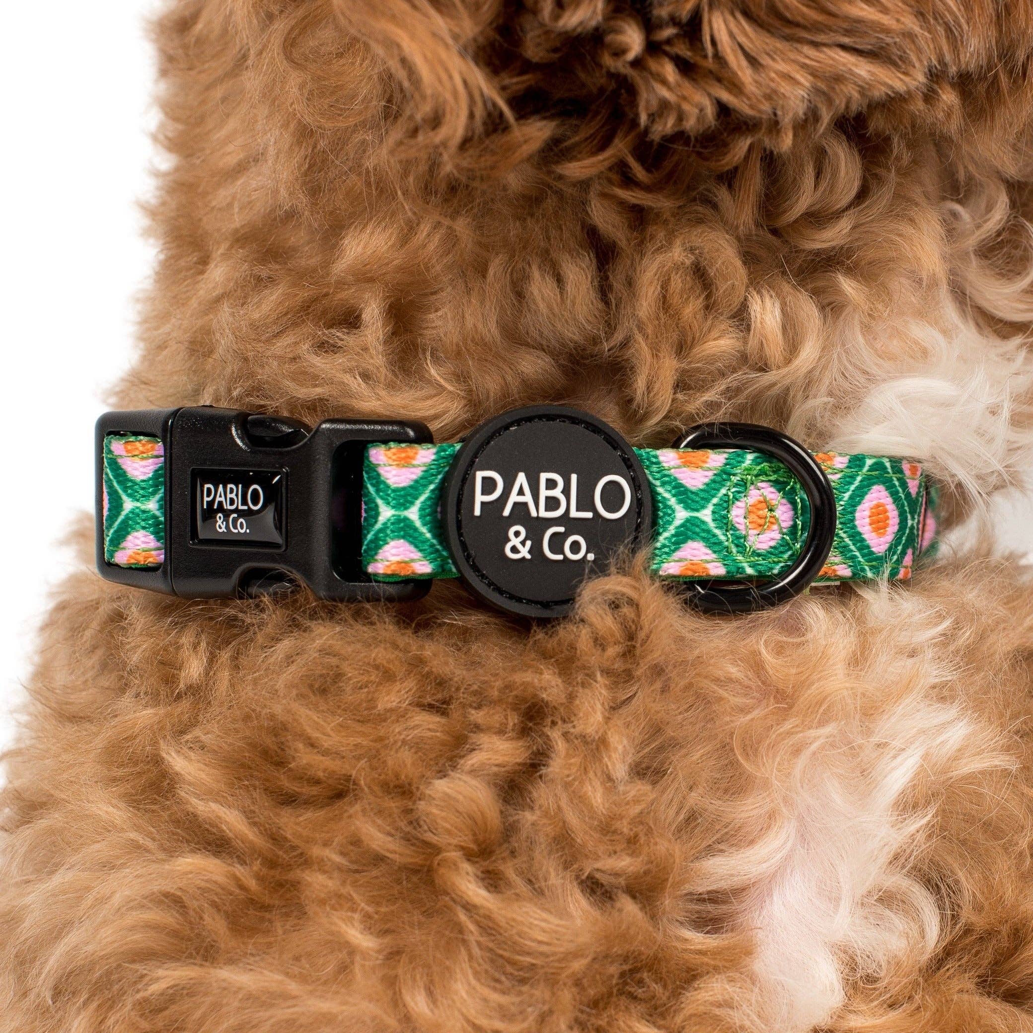 Style années 70 : collier pour chien