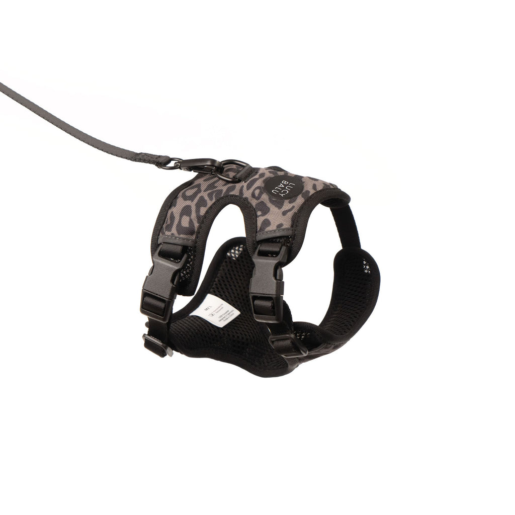 LucyBalu — Harnais Explorer pour Chat avec Laisse 1,5 m