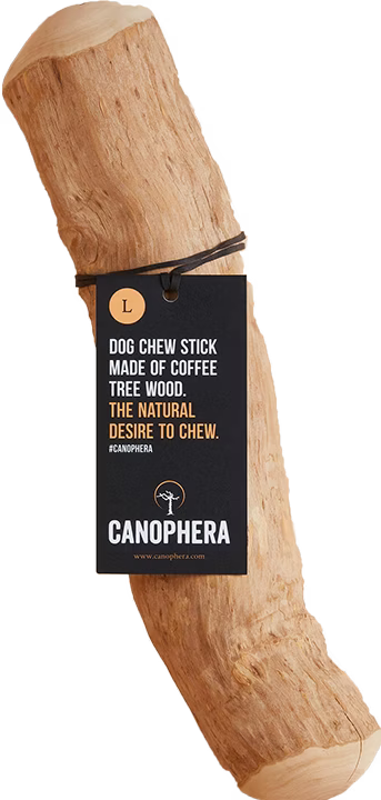 Canophera — Bâton à Mâcher en Bois de Caféier